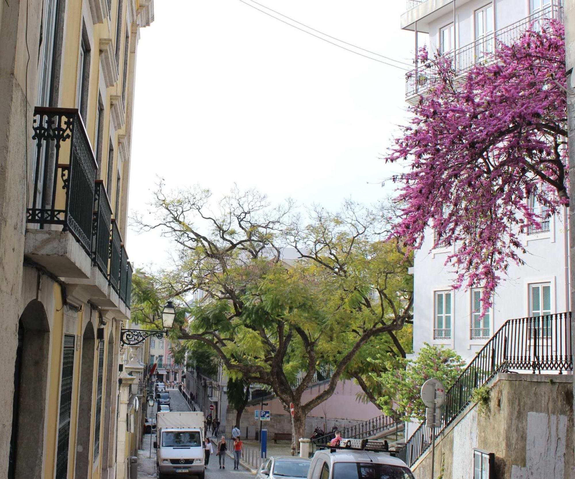 Retrato De Lisboa Apartment Ngoại thất bức ảnh